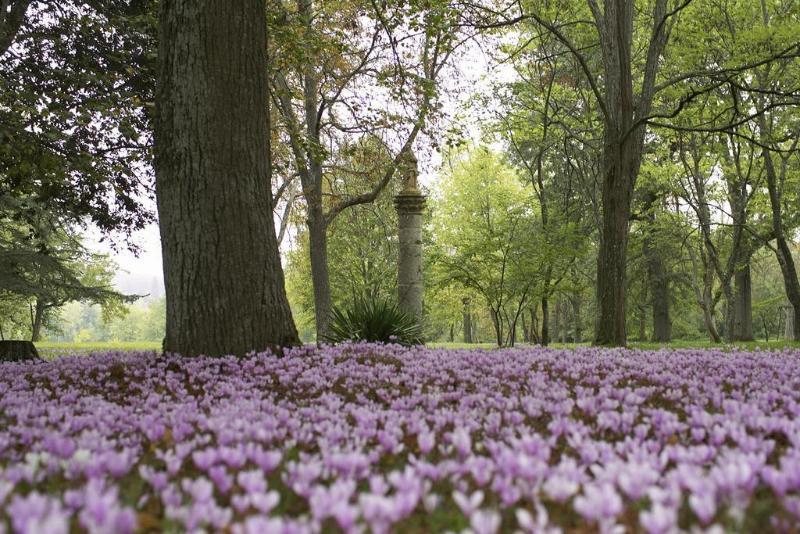 Chateau De Larroque Gimont Bagian luar foto