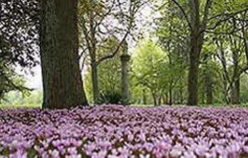Chateau De Larroque Gimont Bagian luar foto